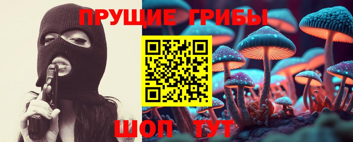 Астрахань  Псилоцибиновые грибы Cubensis  Вход с VPN 
